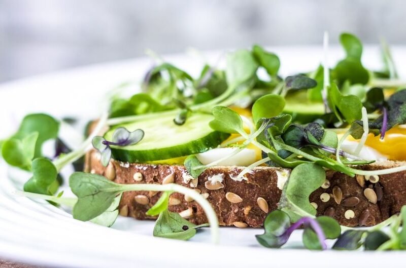 Delicious open-faced sandwich with fresh microgreens and cucumber on multigrain bread.