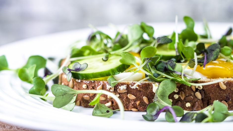 Delicious open-faced sandwich with fresh microgreens and cucumber on multigrain bread.
