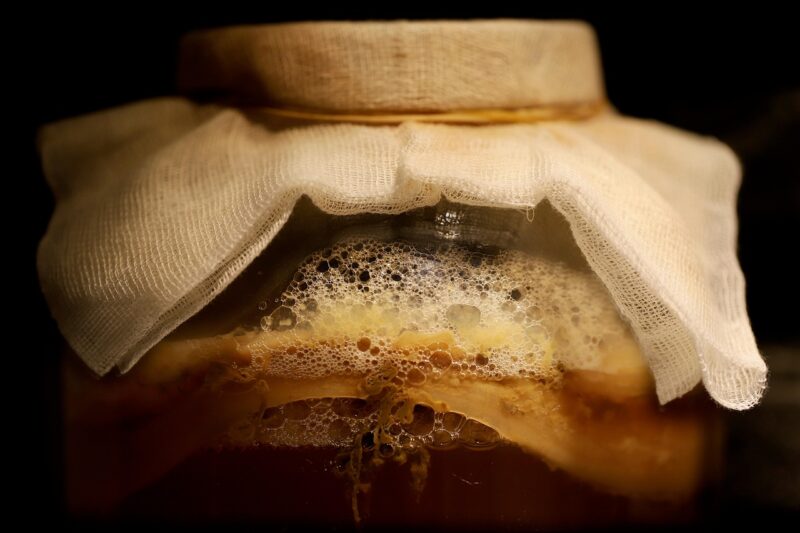 What Fermented Drinks Can Be Made at Home First?