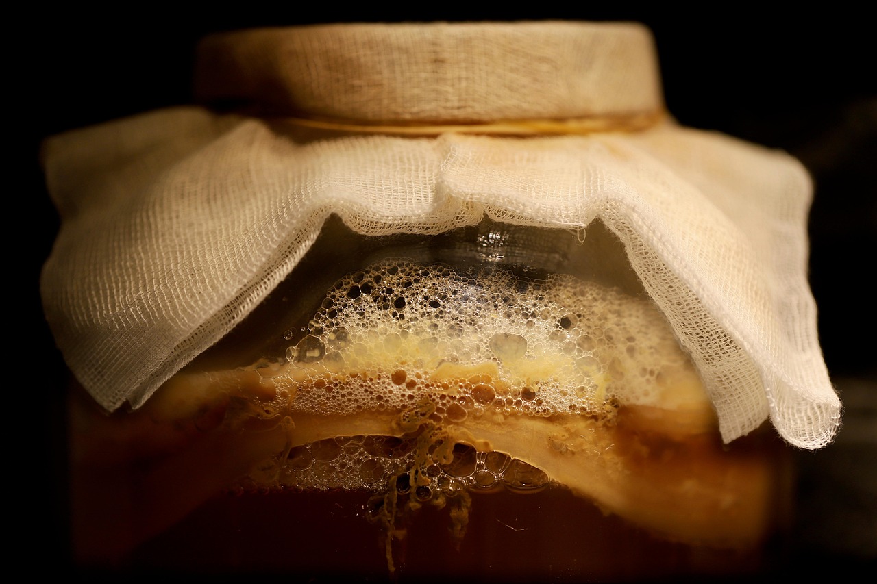 What Fermented Drinks Can Be Made at Home First?