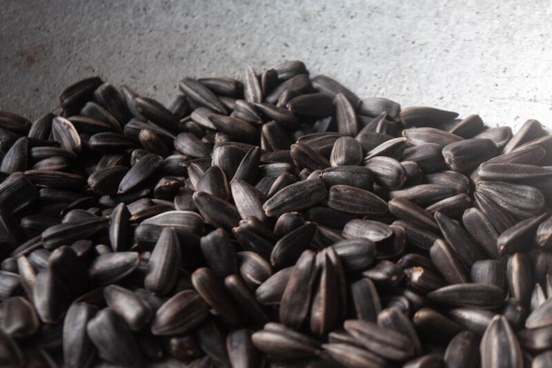 Sunflower Seeds for Microgreens: Hulled, Unhulled or Black Oil?