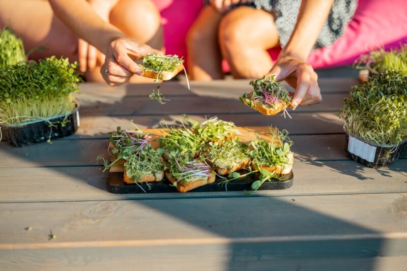 Microgreens vs. Vegetable Nutrition: What They Can’t Replace