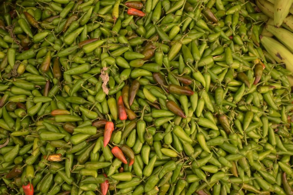 Best Peppers for Fermented Hot Sauce by Heat and Flavor