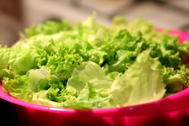 Best Salad Spinner for Microgreens That Bruise Easily