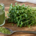 Broccoli Microgreens Powder vs. Fresh for Real Daily Use