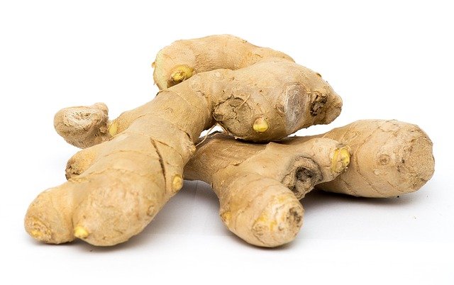 How to Make a Ginger Bug Without Guessing Each Step
