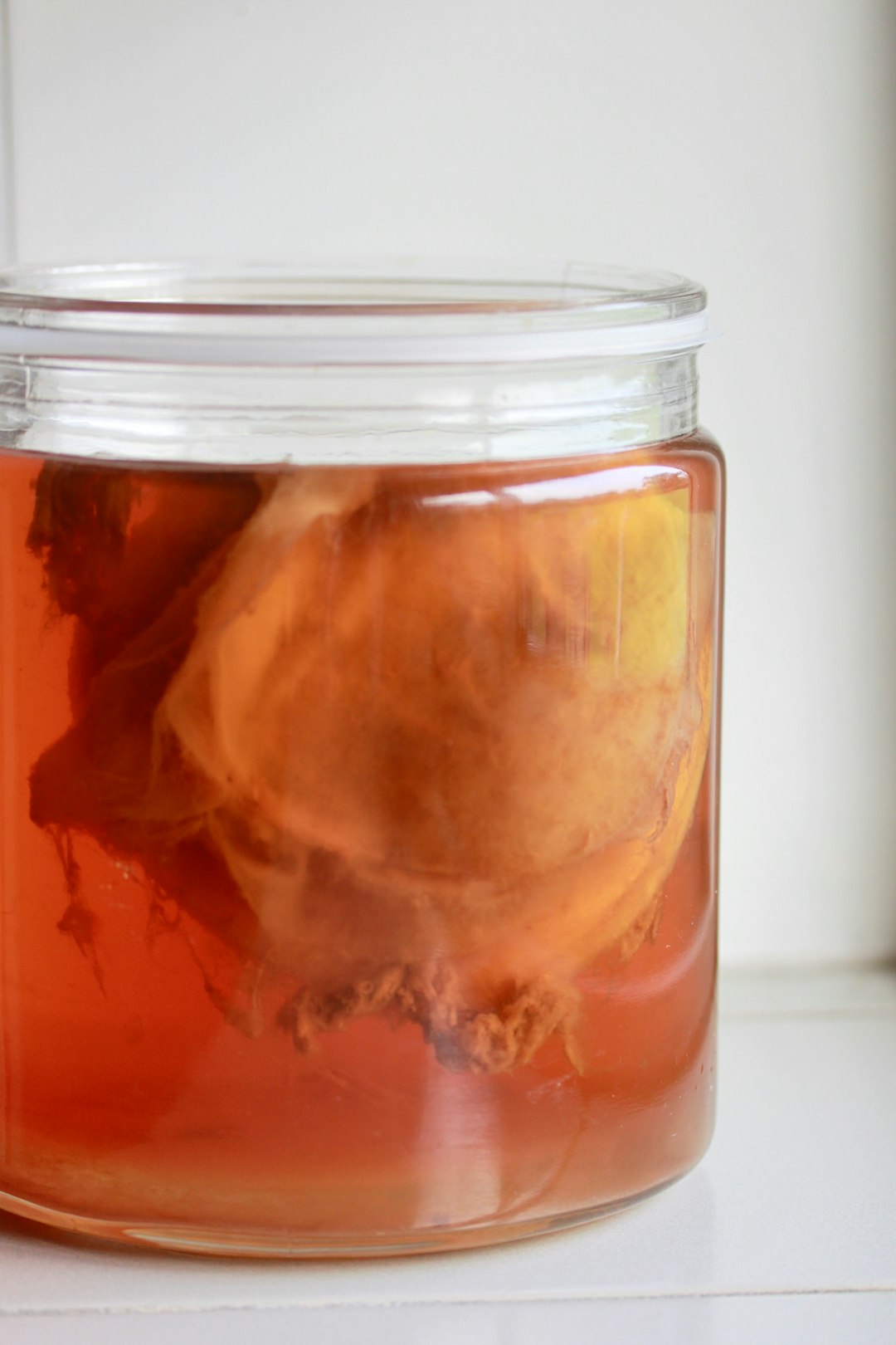 Kombucha Mold or SCOBY: When to Dump the Batch