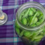lacto-fermentation, pickling, homemade pickles, brine, canning, gherkins, string beans, dilly beans, mexican sour gherkin, melothria scabra, cucumber, green, vegetable, natural, raw, freshness, healthy, beans, mason jar, organic, vegan, vegetarian, delicious, airlock, purple, brine, brine, brine, brine, brine, melothria scabra