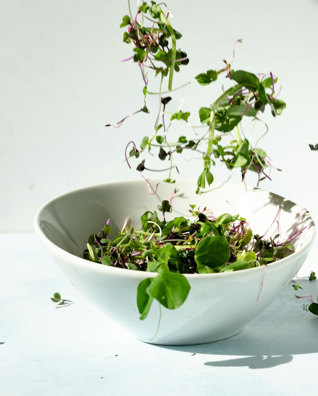 Micro greens falling into a bowl