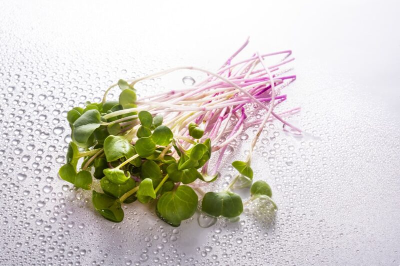Are Microgreens Really Healthy or Just a Pretty Garnish?