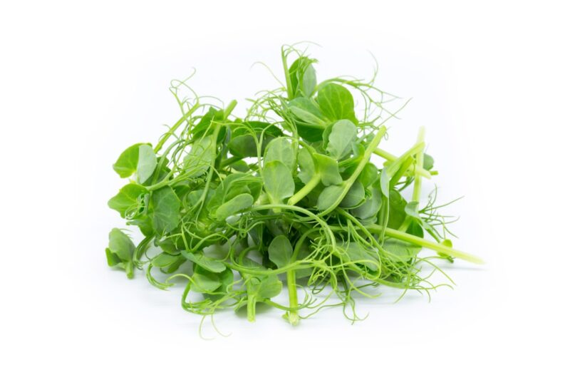 Pea Seeds for Microgreens: Which Types Grow Tender Shoots?