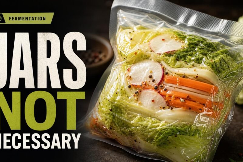 Vacuum-Sealed Fermentation: The No-Jar Method for Easy Ferments